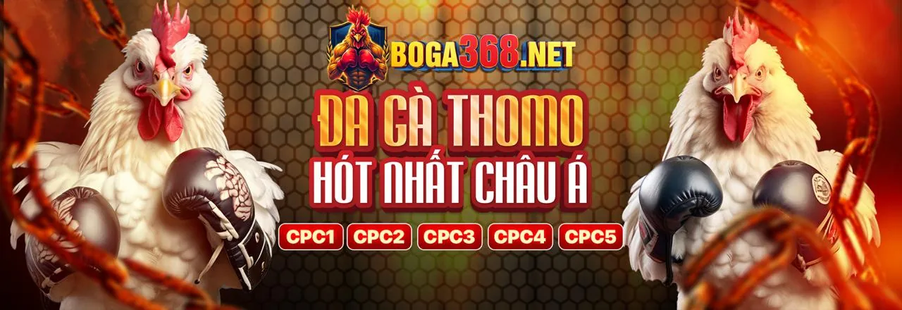 Hình ảnh chủ đề chơi cờ bạc có trách nhiệm của vic88 trang chủ chính thức