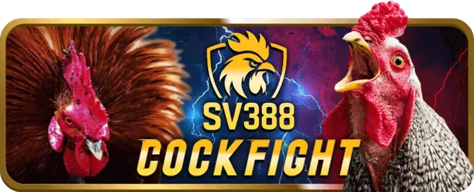 Cá cược thể thao vic88